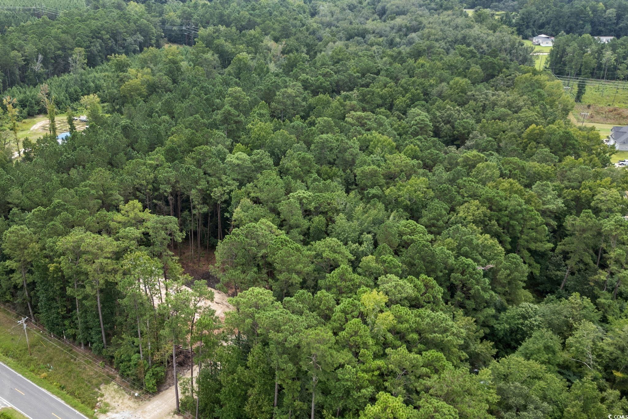 4765 Cates Bay Highway Conway, SC 29527 - Photo 5 of 32 Aerial view of property and surrounding area with a forest