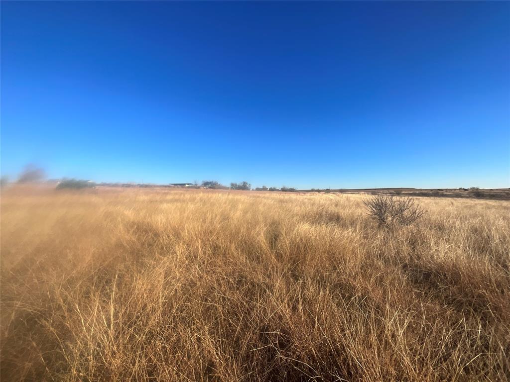 565 Farm To Market 1241 Hamilton, TX 76531 - Photo 5 of 22