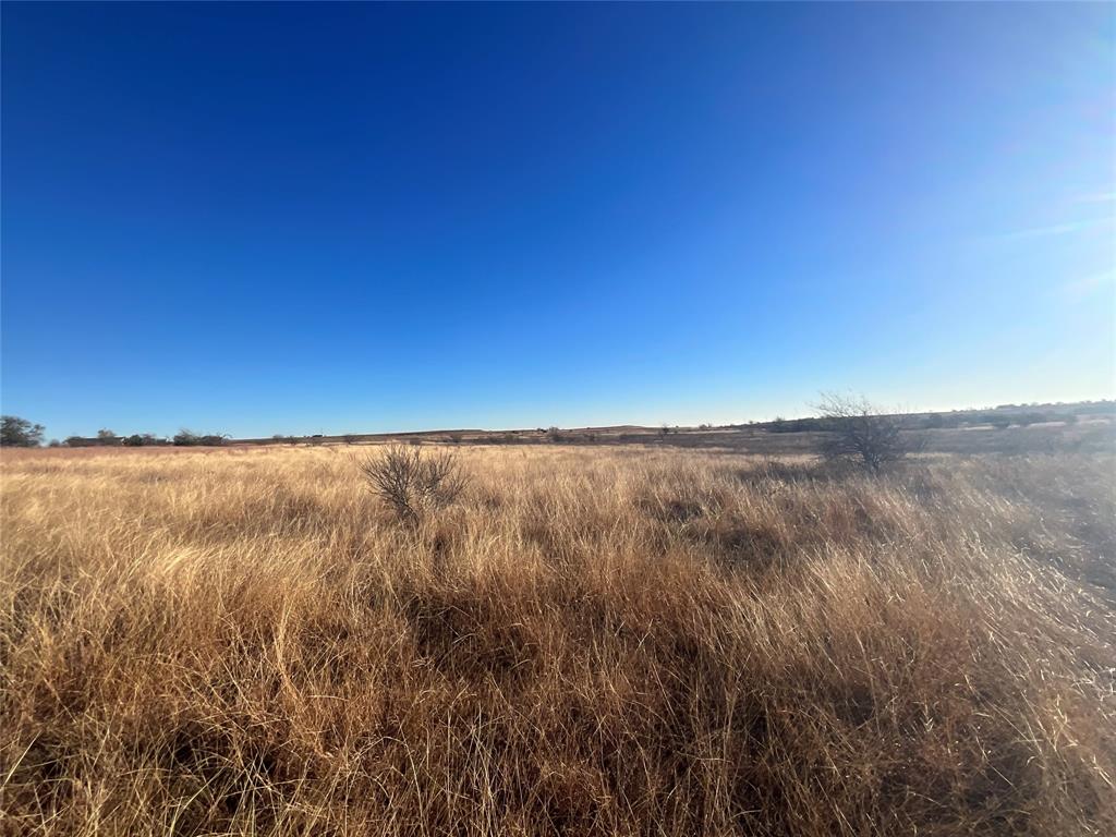 565 Farm To Market 1241 Hamilton, TX 76531 - Photo 7 of 22