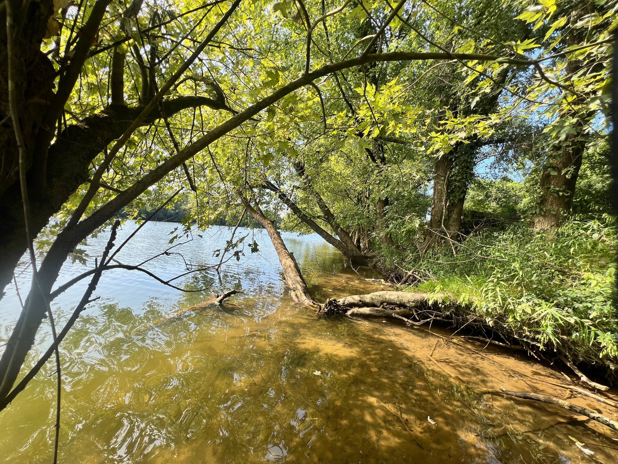 0 Shema Lane Lebanon, TN 37087 - Photo 12 of 19