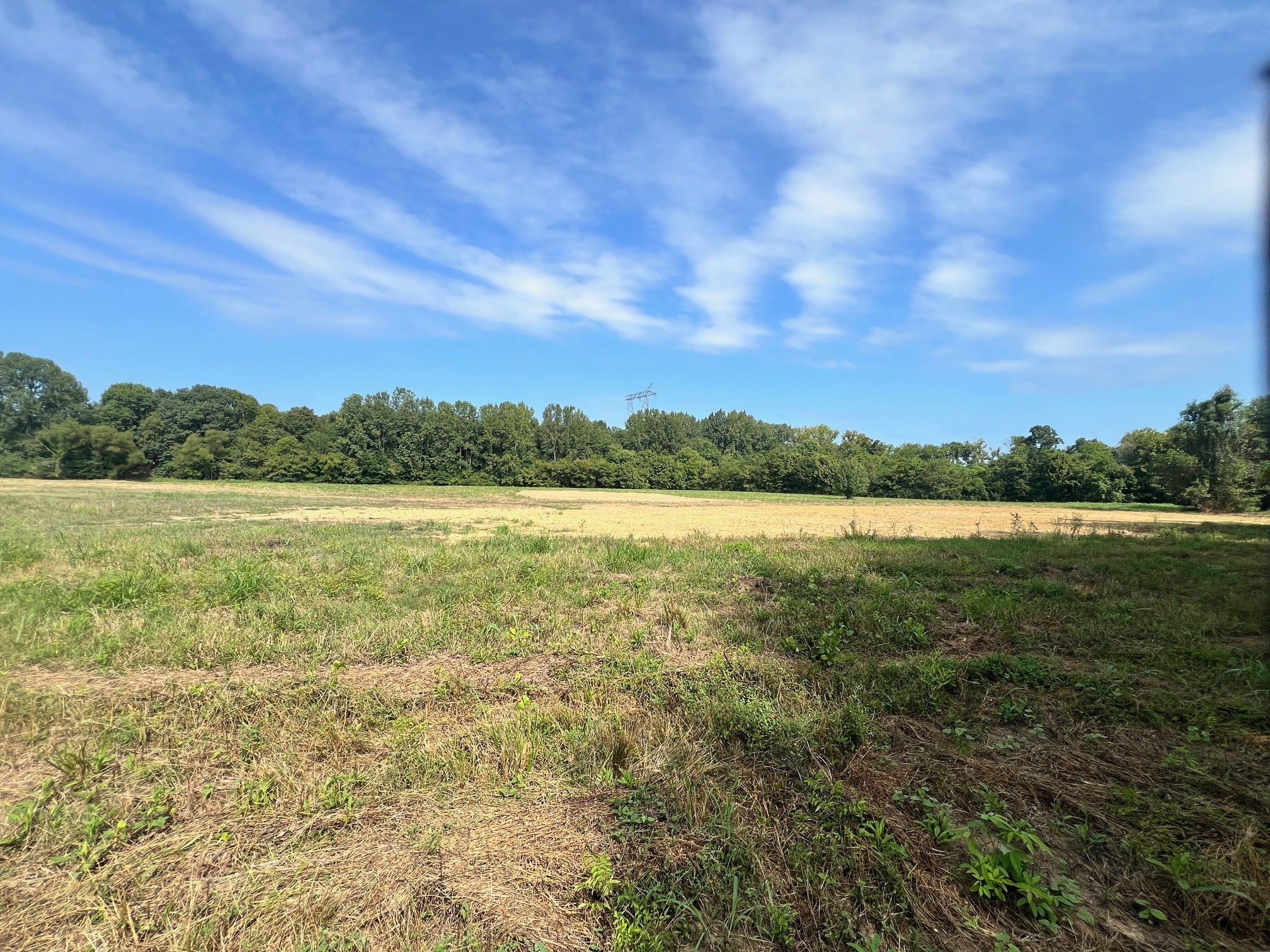 0 Shema Lane Lebanon, TN 37087 - Photo 6 of 19