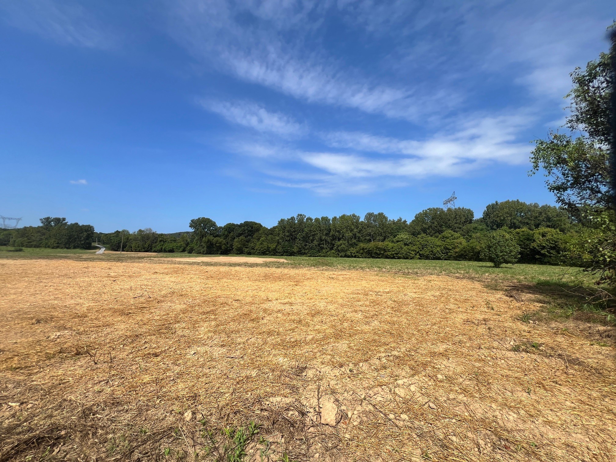 0 Shema Lane Lebanon, TN 37087 - Photo 7 of 19