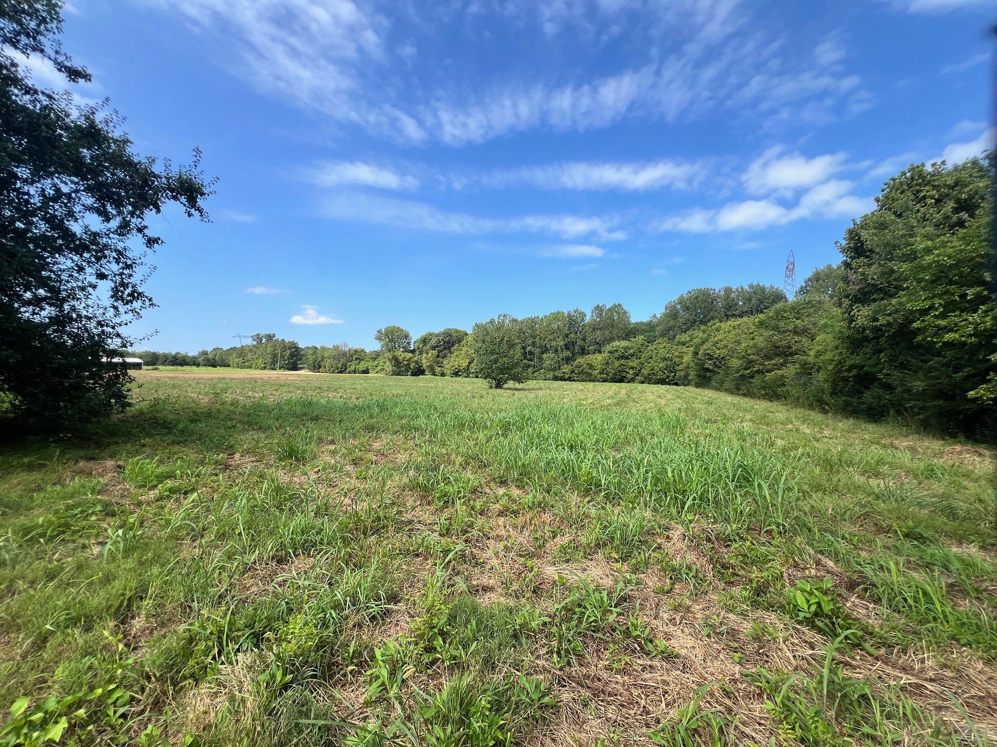 0 Shema Lane Lebanon, TN 37087 - Photo 8 of 19