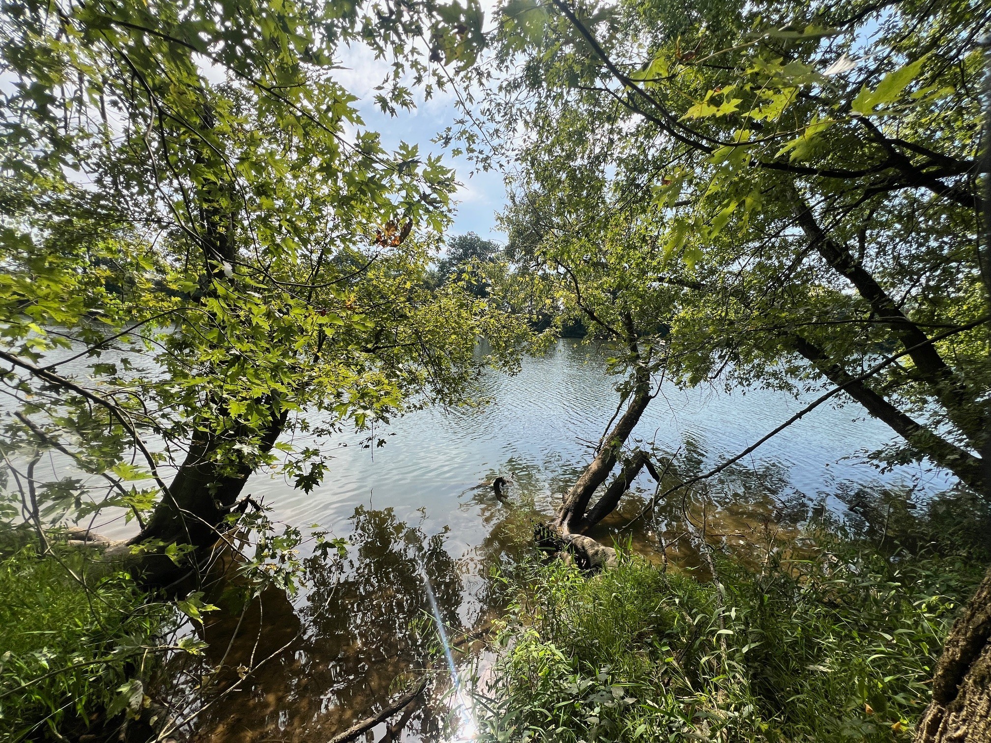 0 Shema Lane Lebanon, TN 37087 - Photo 9 of 19