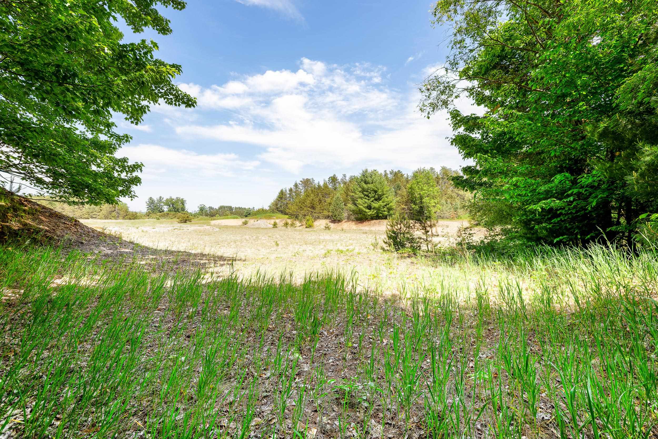 7764 South Weldon Road Thompsonville, MI 49683 - Photo 2 of 15