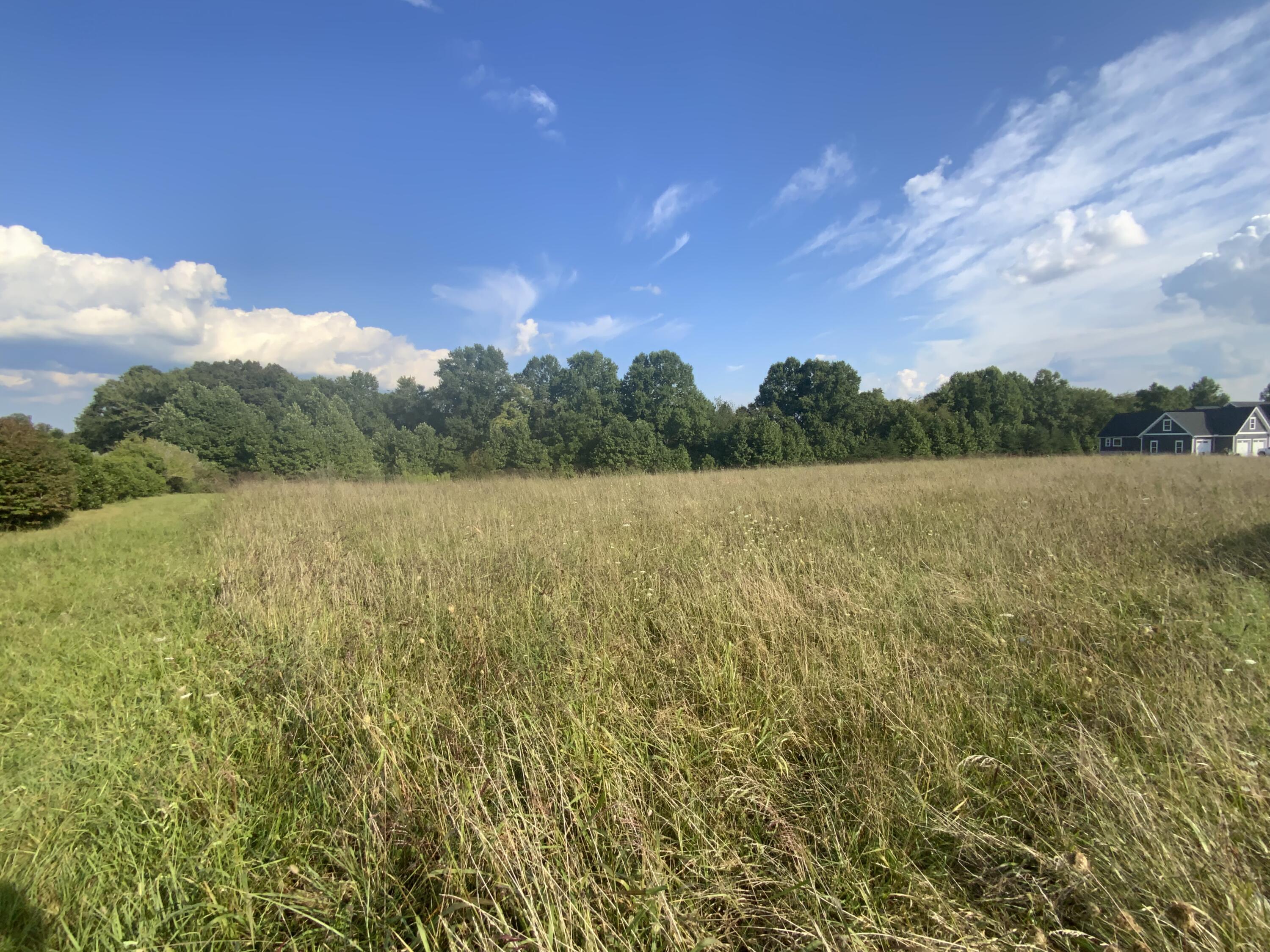 Lot #8 Pleasant Ridge Strunk, KY 42649 - Photo 2 of 4 IMG_9940
