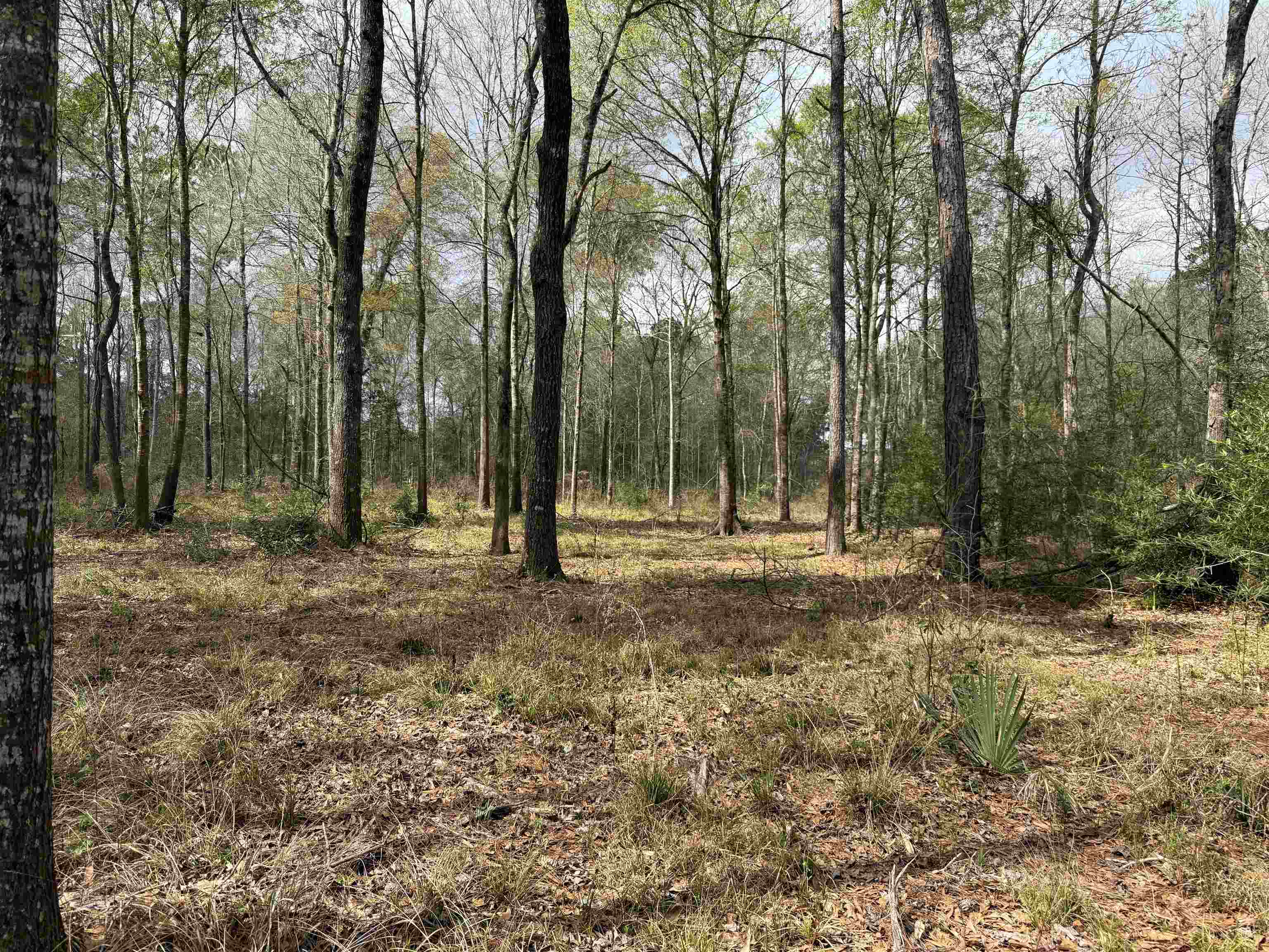 325 Jennings Road Vidor, TX 77662 - Photo 2 of 9
