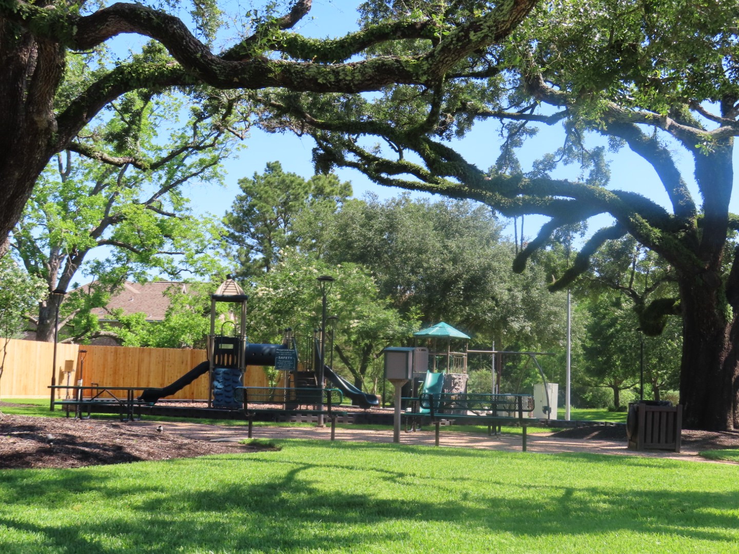 8419 Marchelle Lane Spring, TX 77379 - Photo 40 of 42 a view of a park with large trees