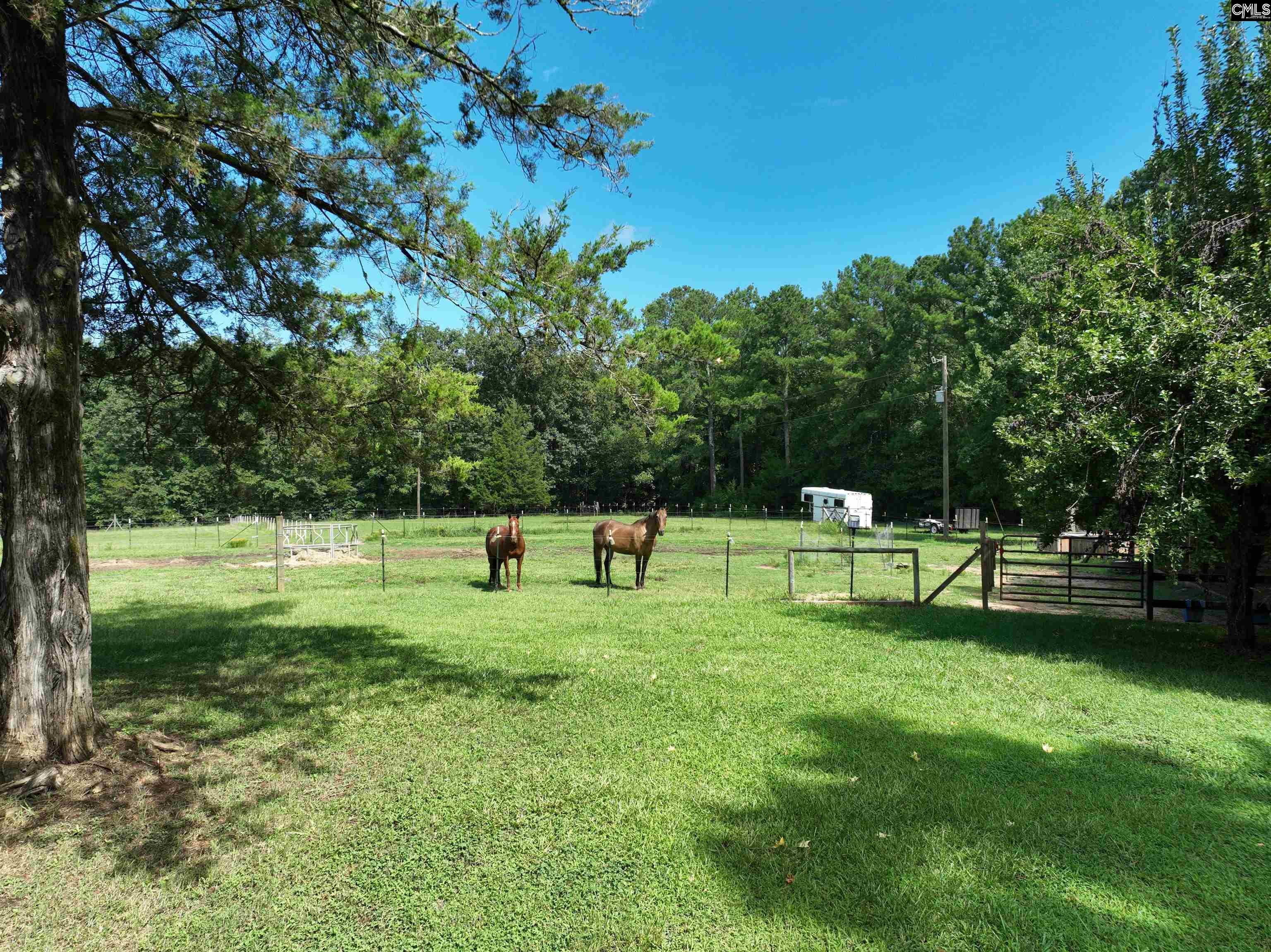 848 Stockman Road Prosperity, SC 29127 - Photo 4 of 63 Gallery Image 4
