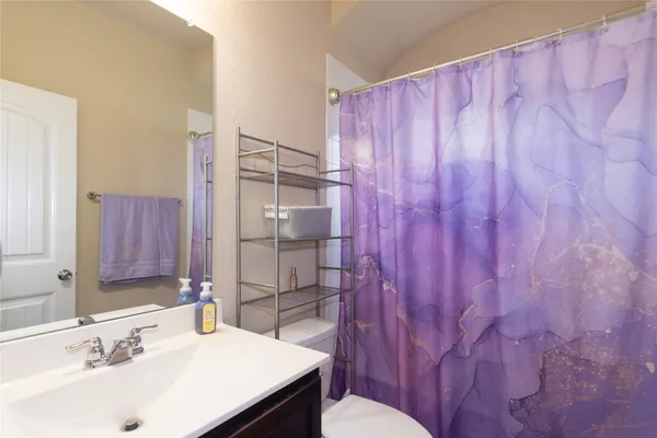 a bathroom with a sink a toilet and shower curtain