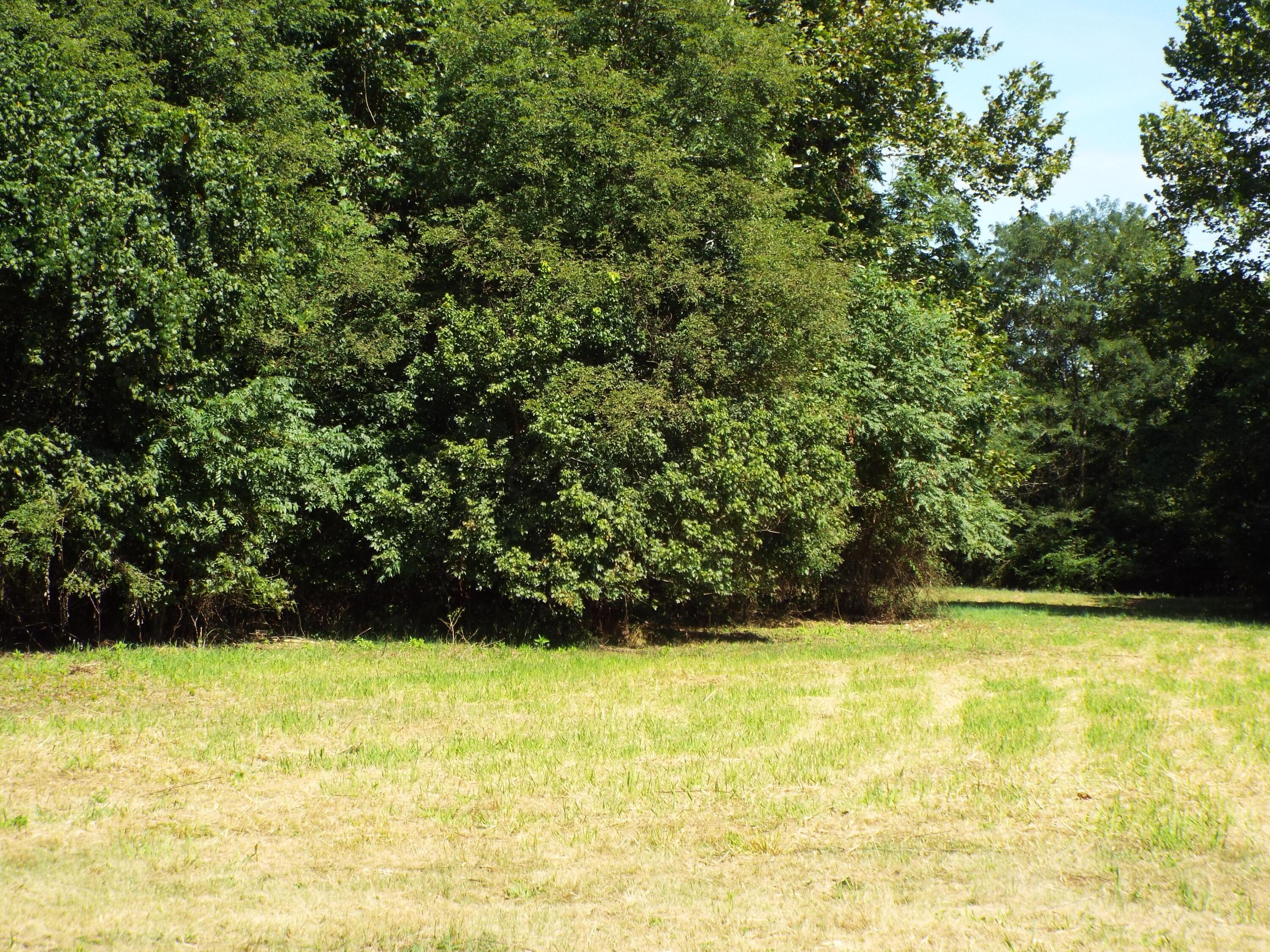 17687 Laurel Run Road Nelsonville, OH 45764 - Photo 11 of 20 Land