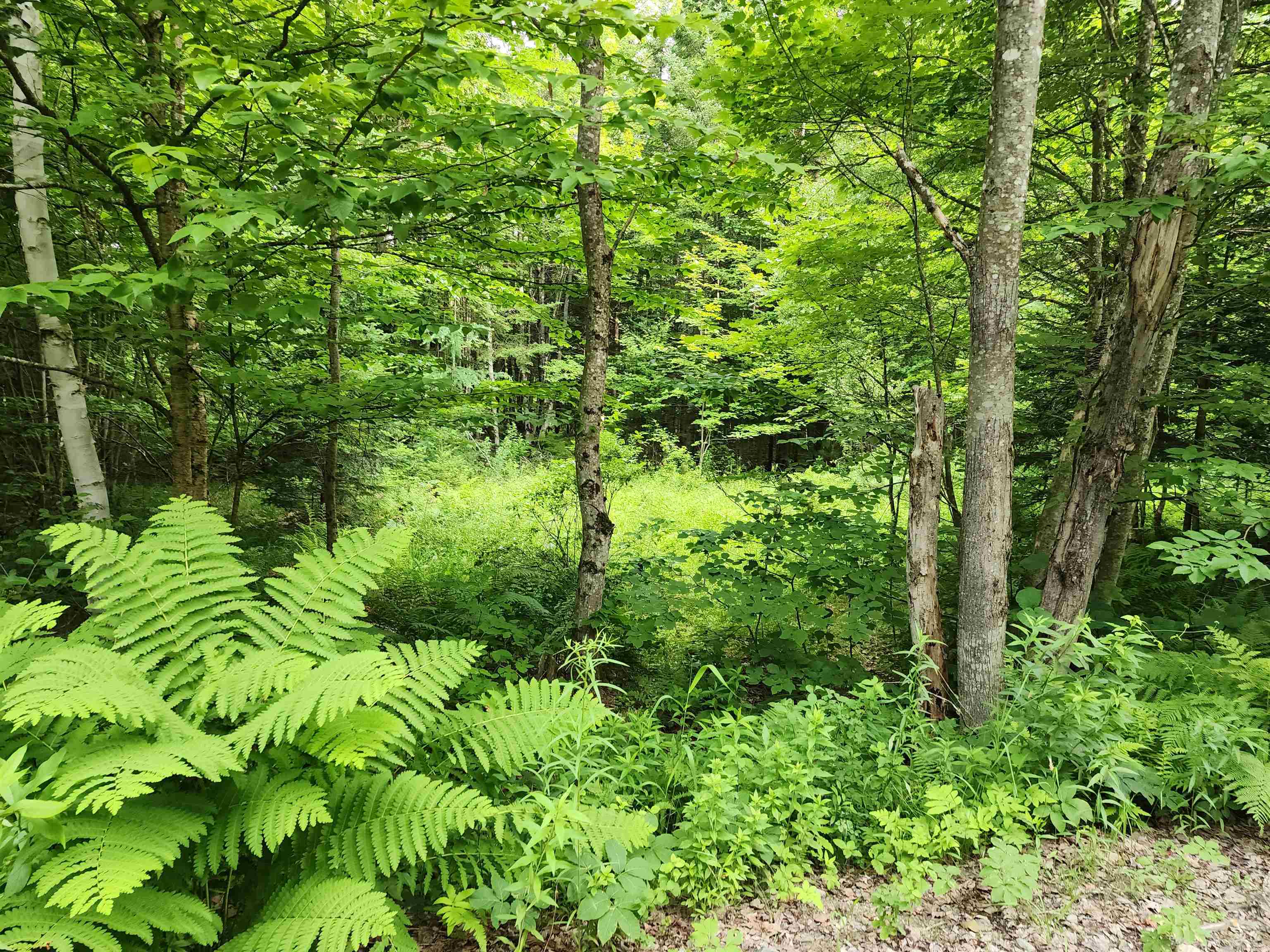 Lot 3 North Mountain Pond Road, Unit R11/21 Errol, NH 03579 - Photo 8 of 15