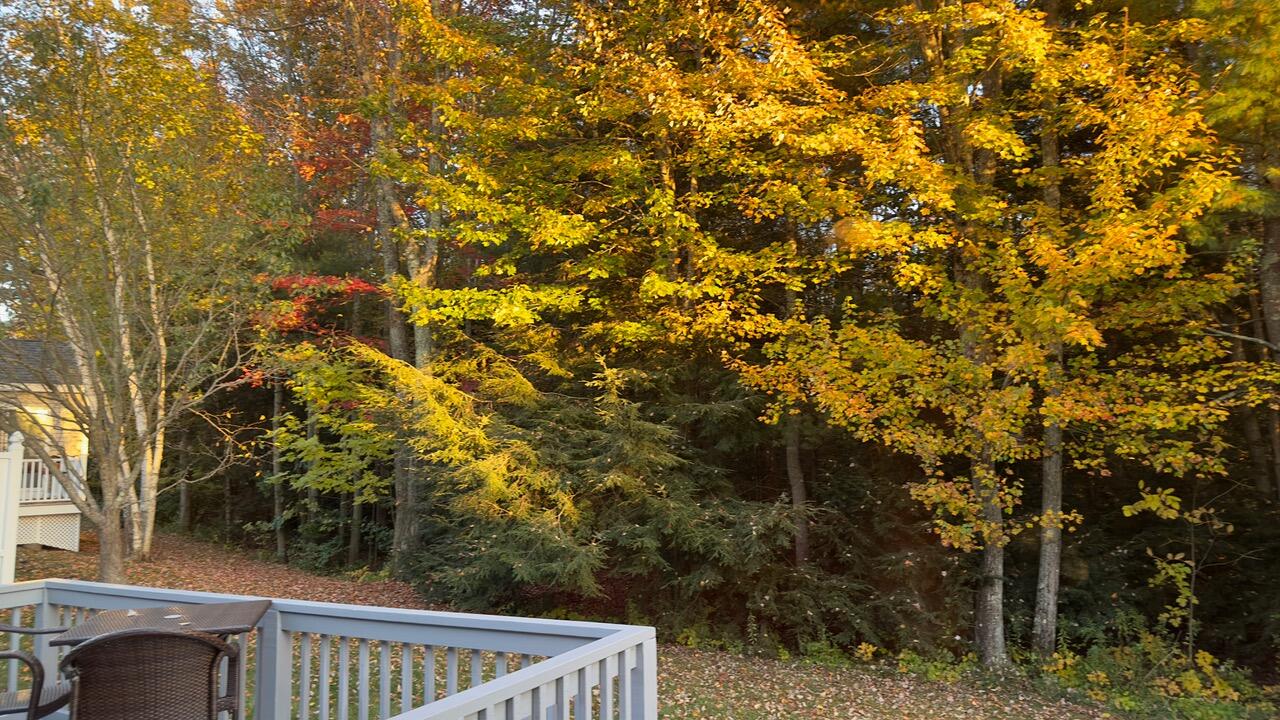 24 Kavanaugh Road, Unit 24 Old Orchard Beach, ME 04064 - Photo 20 of 26 Back yard
