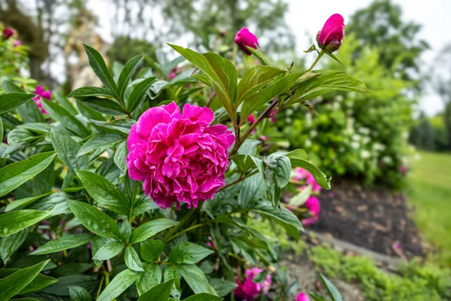 $2,290,000 | 1-404 Caesar Drive, Barrington Hills, IL 60010