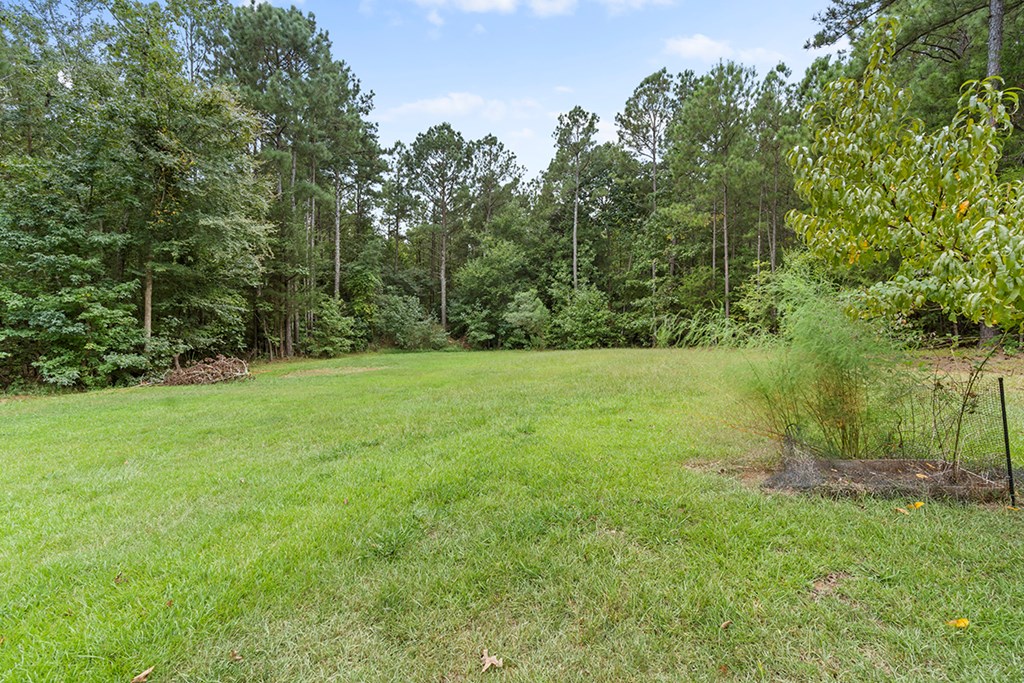 629 Windsor Road Hodges, SC 29653 - Photo 31 of 34