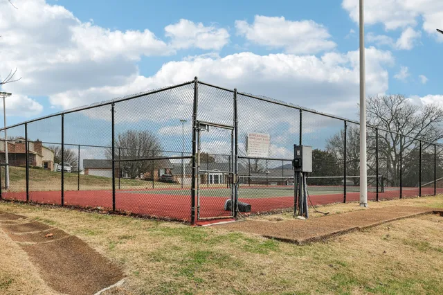 a view of tall trees