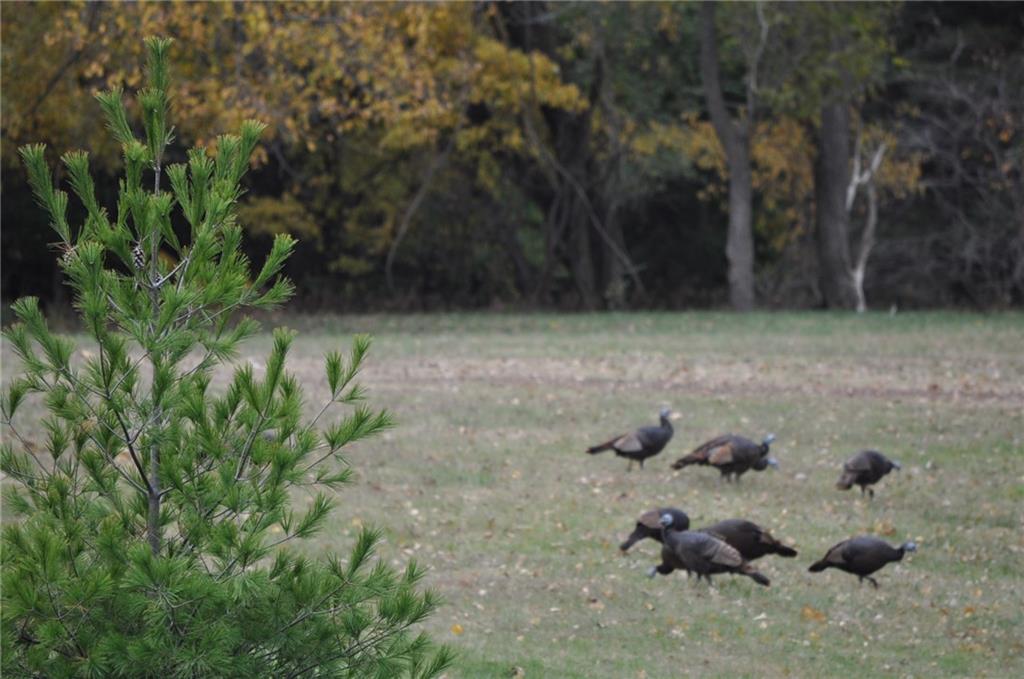 2651 Northwest Barry Road, Unit 102 Kansas City, MO 64151 - Photo 45 of 51