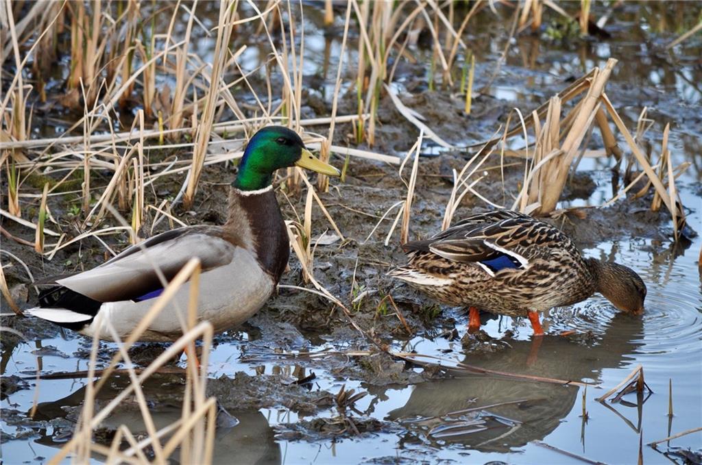 2651 Northwest Barry Road, Unit 102 Kansas City, MO 64151 - Photo 46 of 51