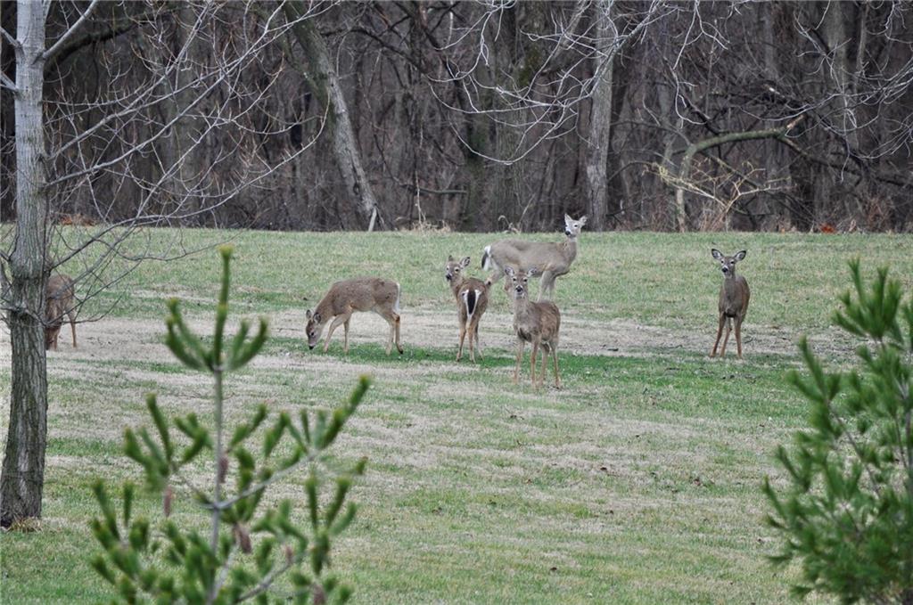 2651 Northwest Barry Road, Unit 102 Kansas City, MO 64151 - Photo 47 of 51