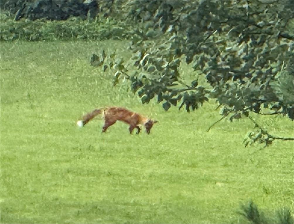 2651 Northwest Barry Road, Unit 102 Kansas City, MO 64151 - Photo 48 of 51