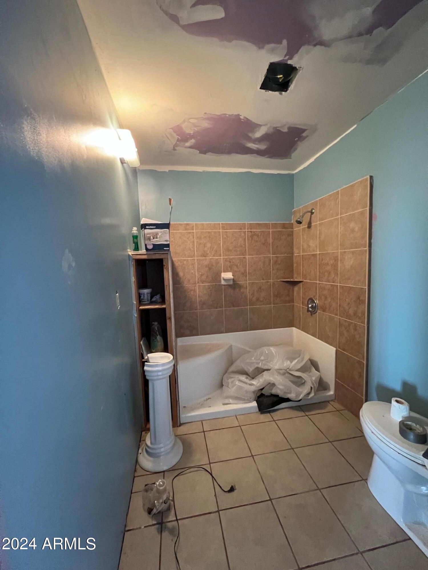 8273 East Stagecoach Road Willcox, AZ 85643 - Photo 13 of 31 Bathroom