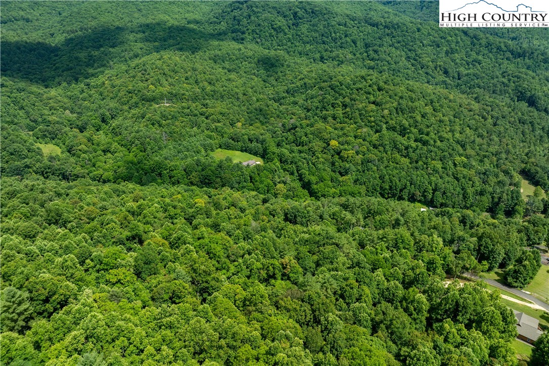 Lot 21 Lake Ridge Road Butler, TN 37640 - Photo 16 of 25 a view of a lush green forest