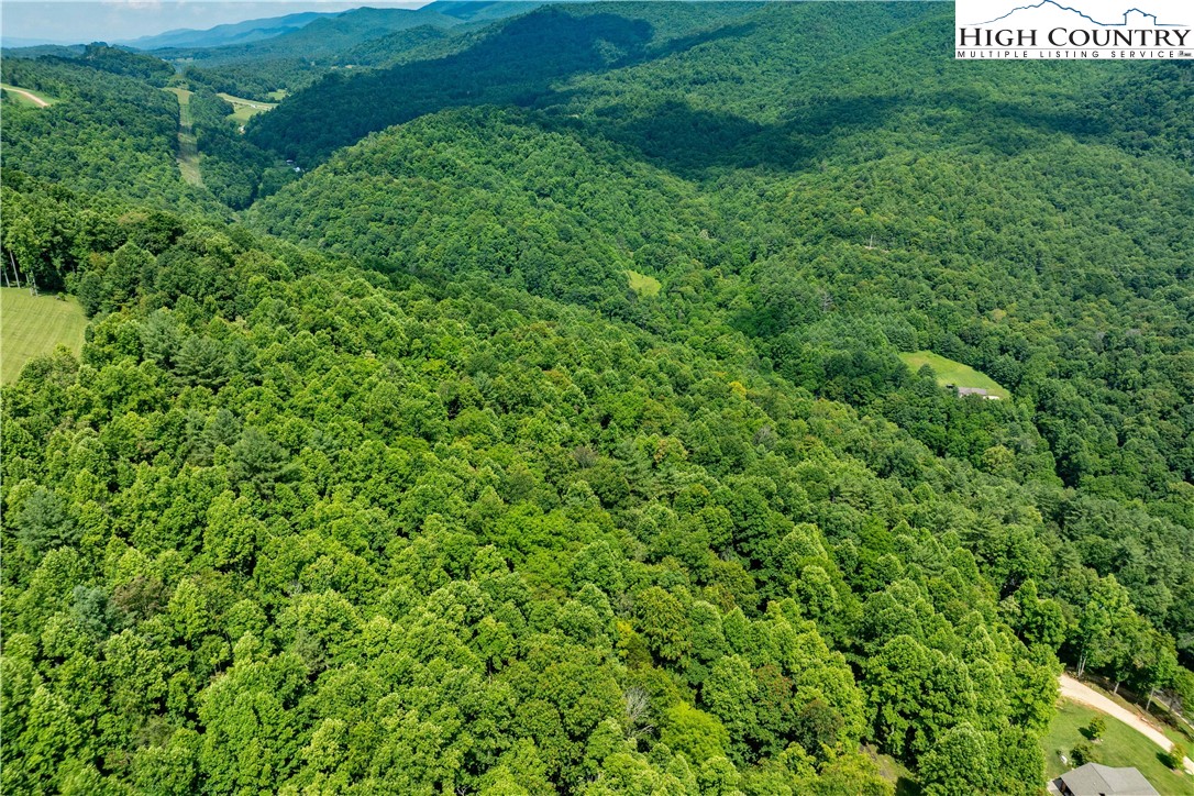 Lot 21 Lake Ridge Road Butler, TN 37640 - Photo 18 of 25 a view of a lush green forest with large trees