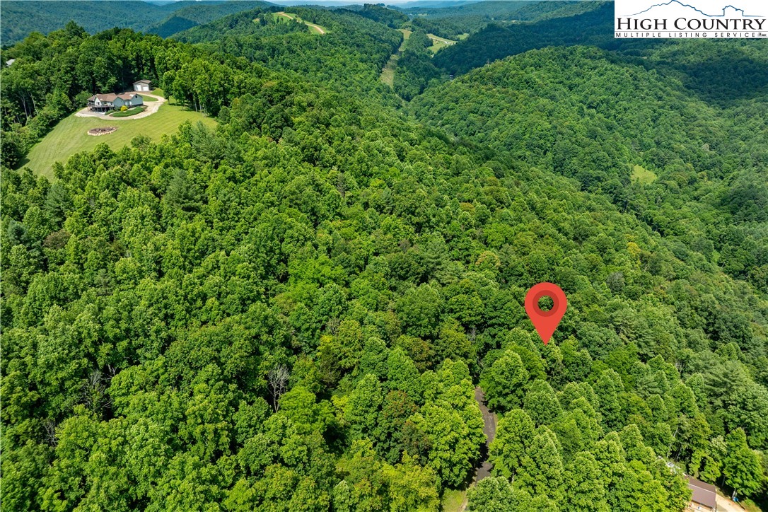 Lot 21 Lake Ridge Road Butler, TN 37640 - Photo 19 of 25 a view of a small garden