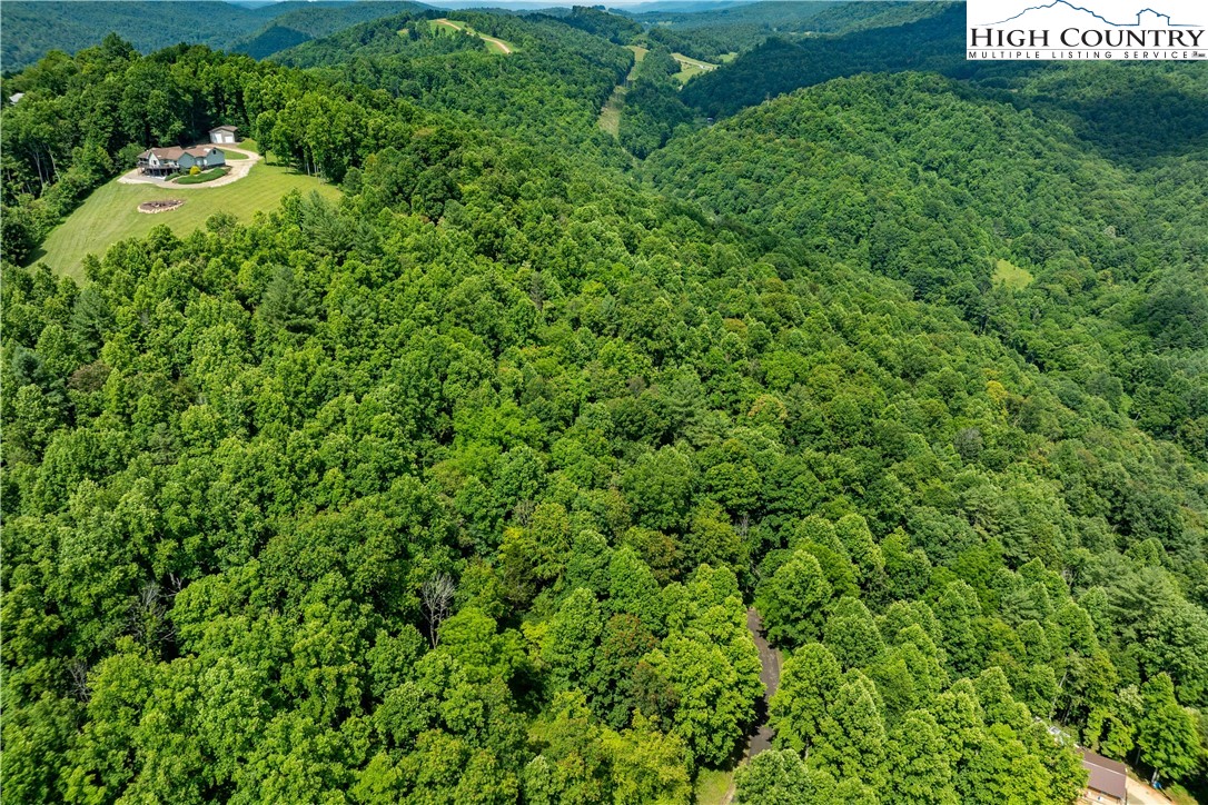 Lot 21 Lake Ridge Road Butler, TN 37640 - Photo 20 of 25 a view of a bunch of trees and bushes