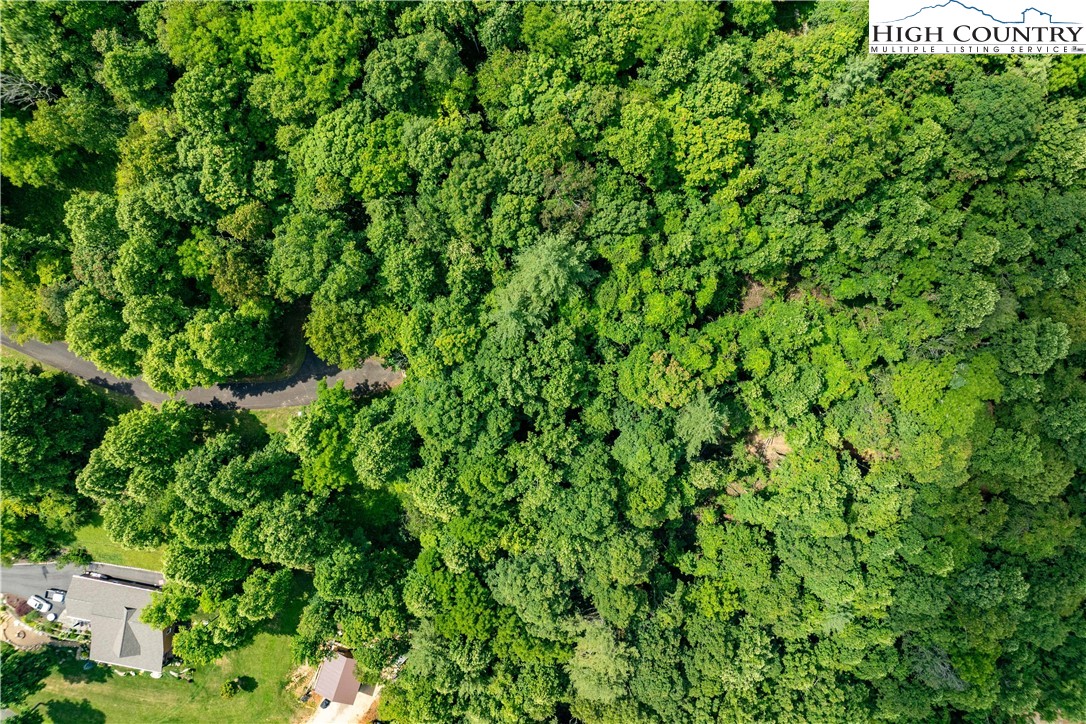 Lot 21 Lake Ridge Road Butler, TN 37640 - Photo 2 of 25 a view of a lush green forest