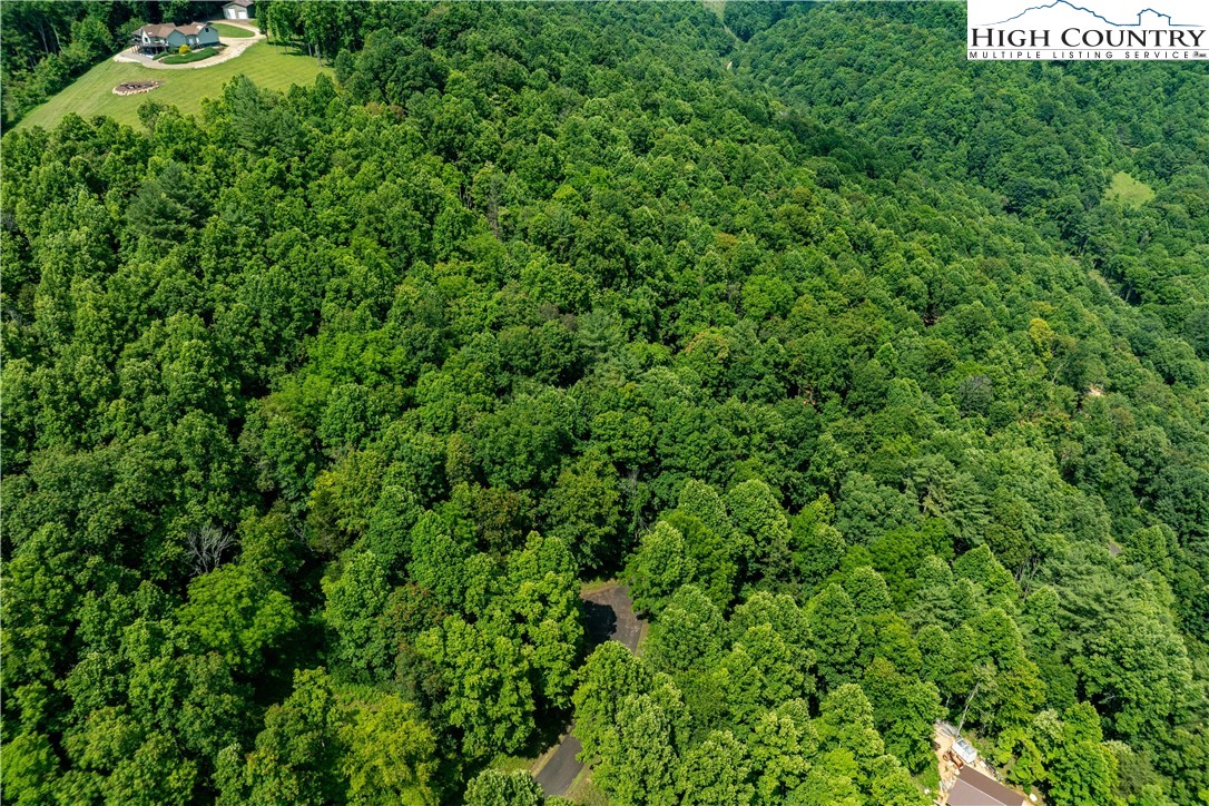 Lot 21 Lake Ridge Road Butler, TN 37640 - Photo 22 of 25 a view of a lush green forest