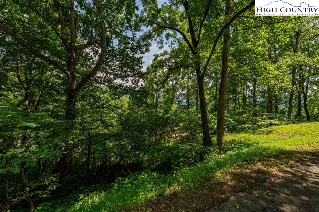 Lot 21 Lake Ridge Road Butler, TN 37640 - Photo 24 of 25 a view of outdoor space and yard