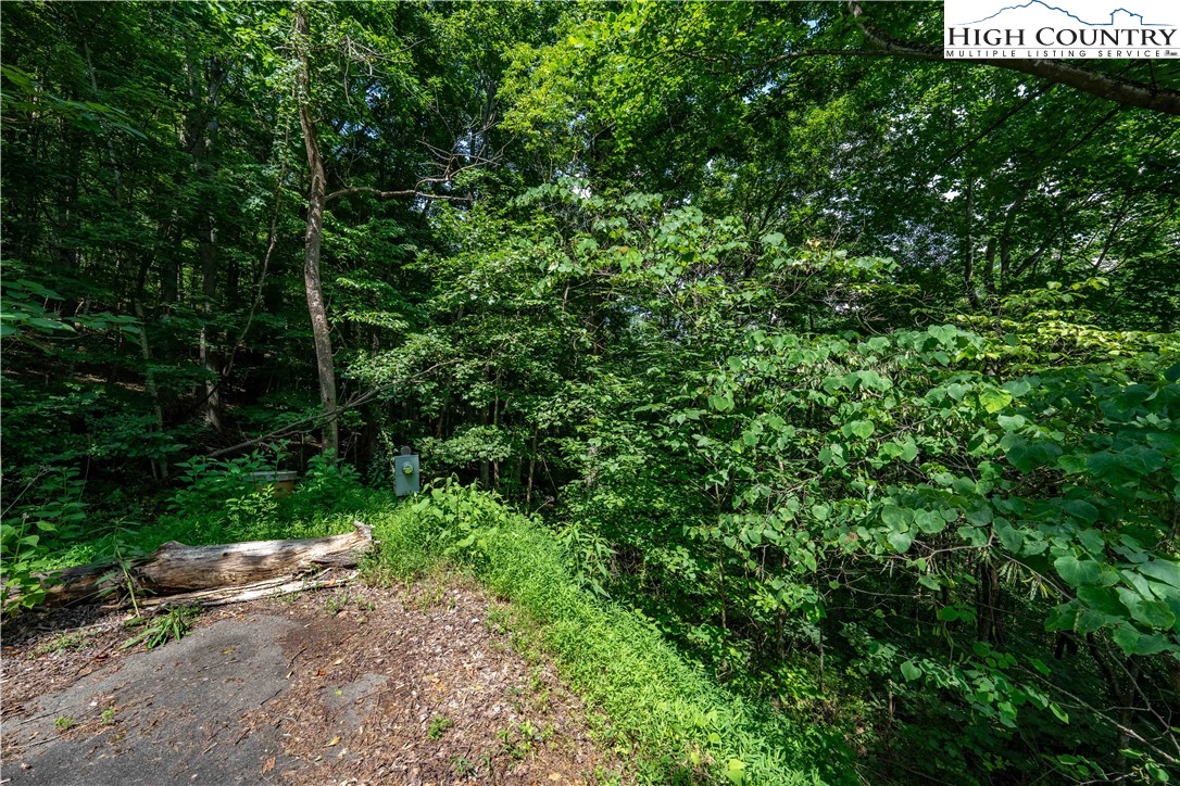Lot 21 Lake Ridge Road Butler, TN 37640 - Photo 25 of 25 a view of a street with a tree