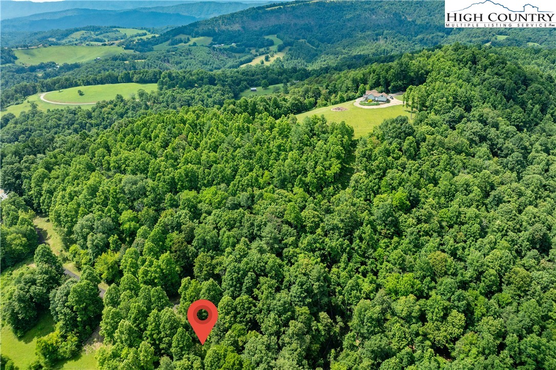 Lot 21 Lake Ridge Road Butler, TN 37640 - Photo 3 of 25 a picture of city view