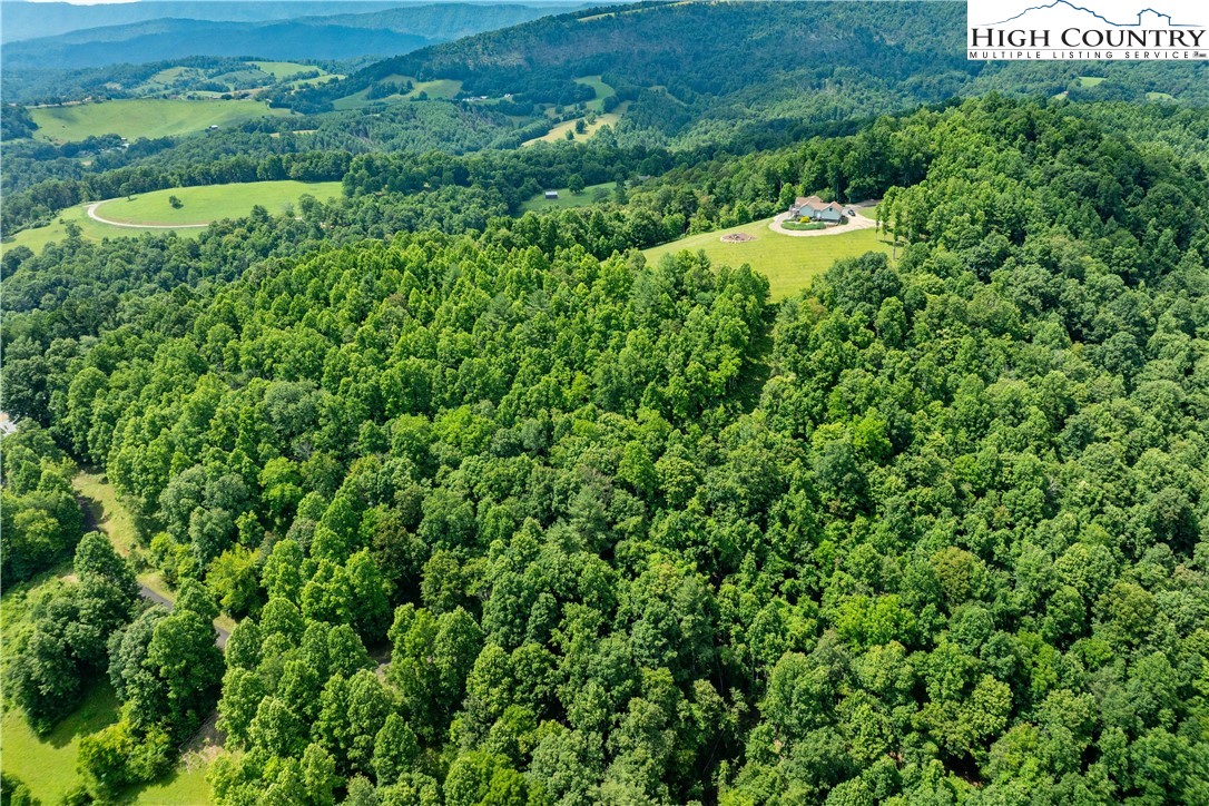 Lot 21 Lake Ridge Road Butler, TN 37640 - Photo 4 of 25 a view of a lush green forest with lots of trees