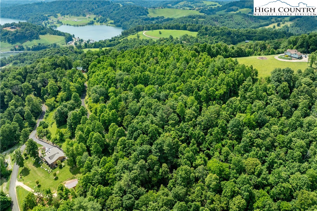 Lot 21 Lake Ridge Road Butler, TN 37640 - Photo 6 of 25 an aerial view of residential house with outdoor space and trees all around
