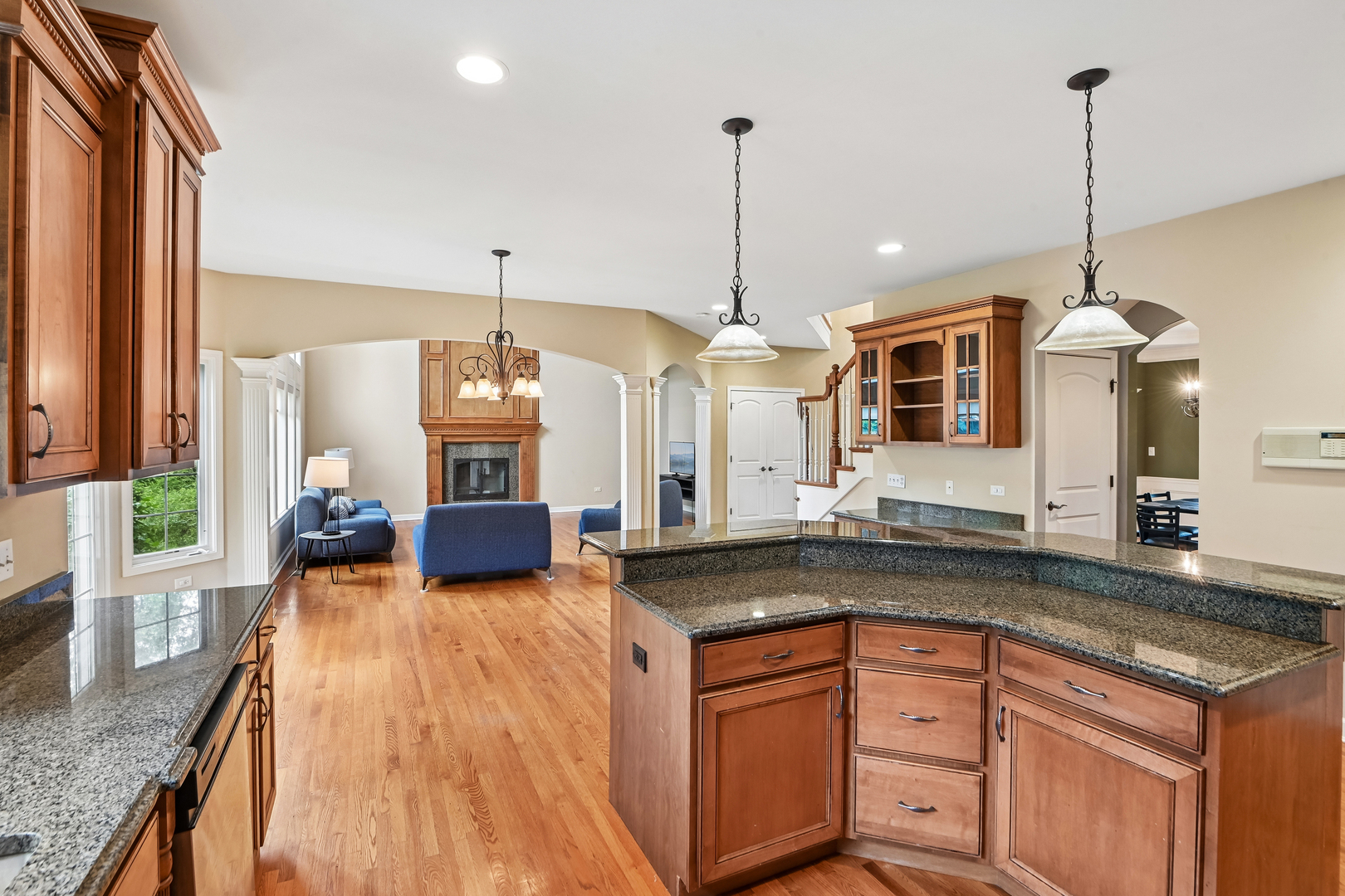 2227 Spartina Road Naperville, IL 60564 - Photo 15 of 63