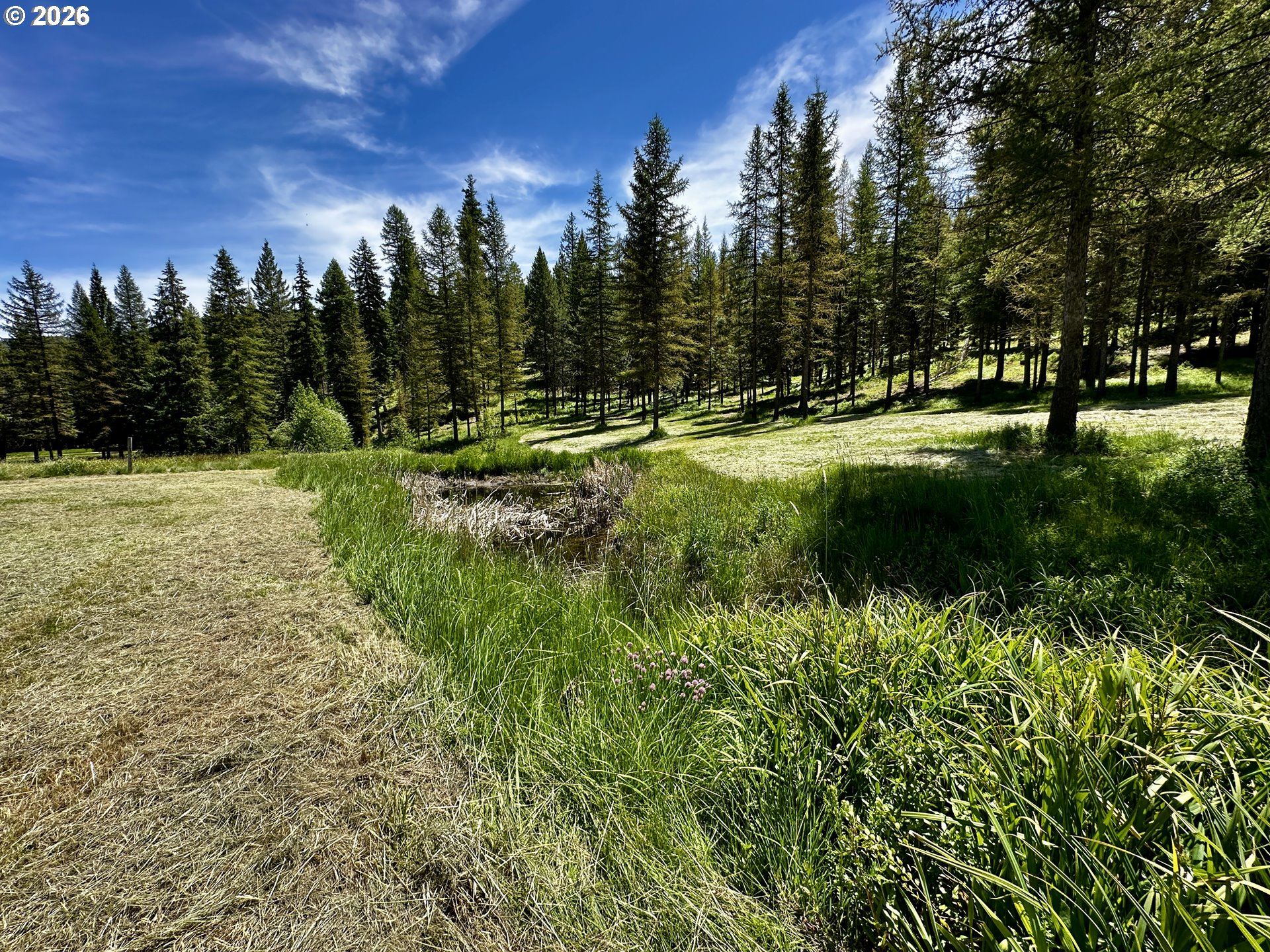 48497 Antelope Peak Road North Powder, OR 97867 - Photo 41 of 48