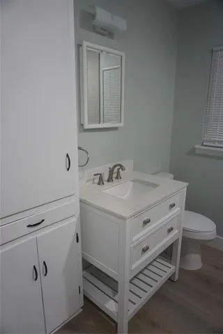 a bathroom with a sink toilet and vanity
