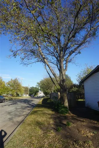 a view of a yard with an tree