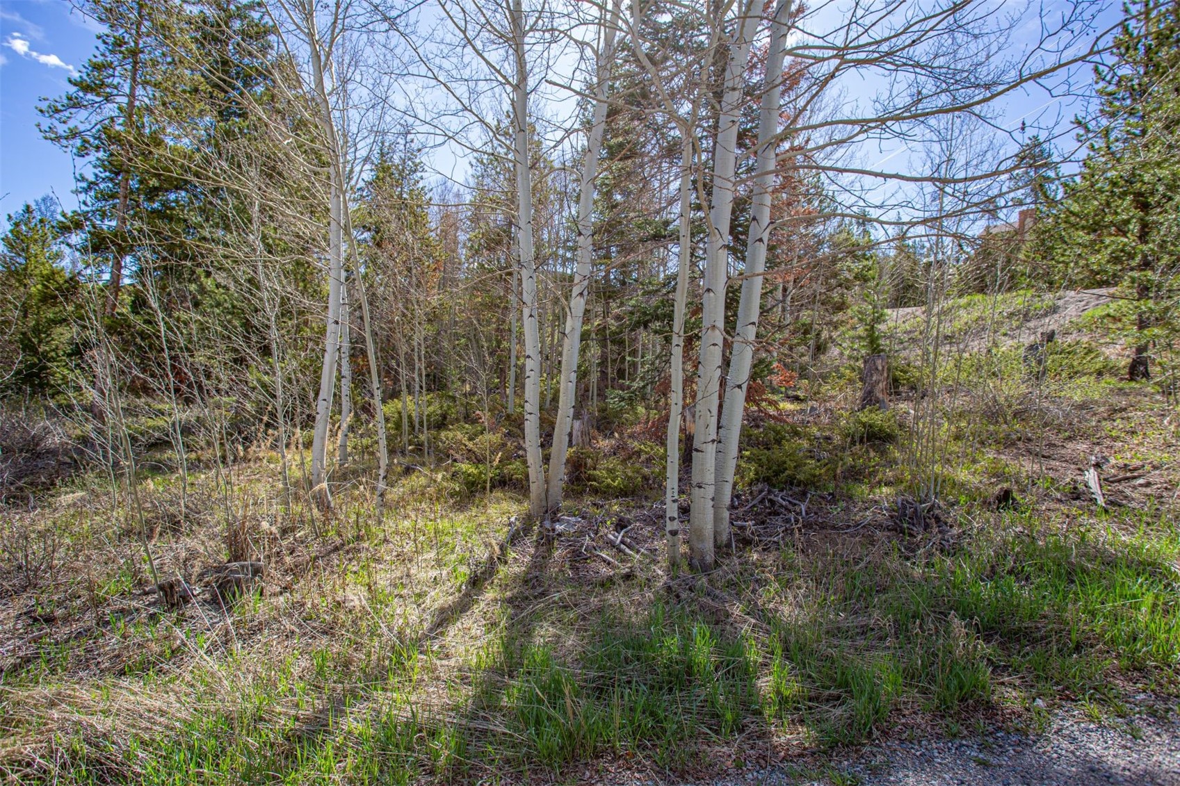 577 Deer Path Road Dillon, CO 80435 - Photo 1 of 27 Gallery Image 1