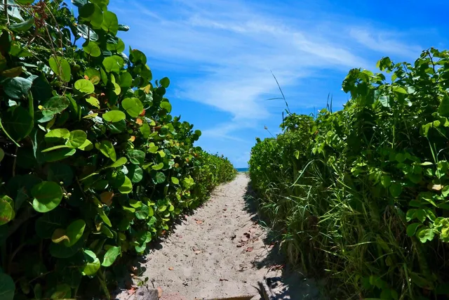 a view of a tall building next to a yard