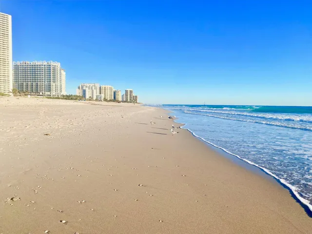 a view of beach and ocean