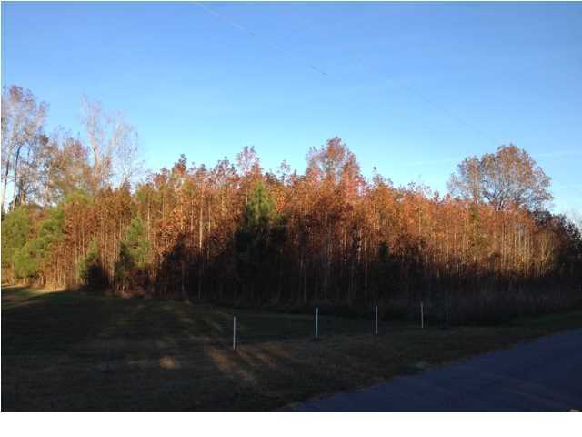 5 Huff Road St. George, SC 29477 - Photo 1 of 3 Primary Photo