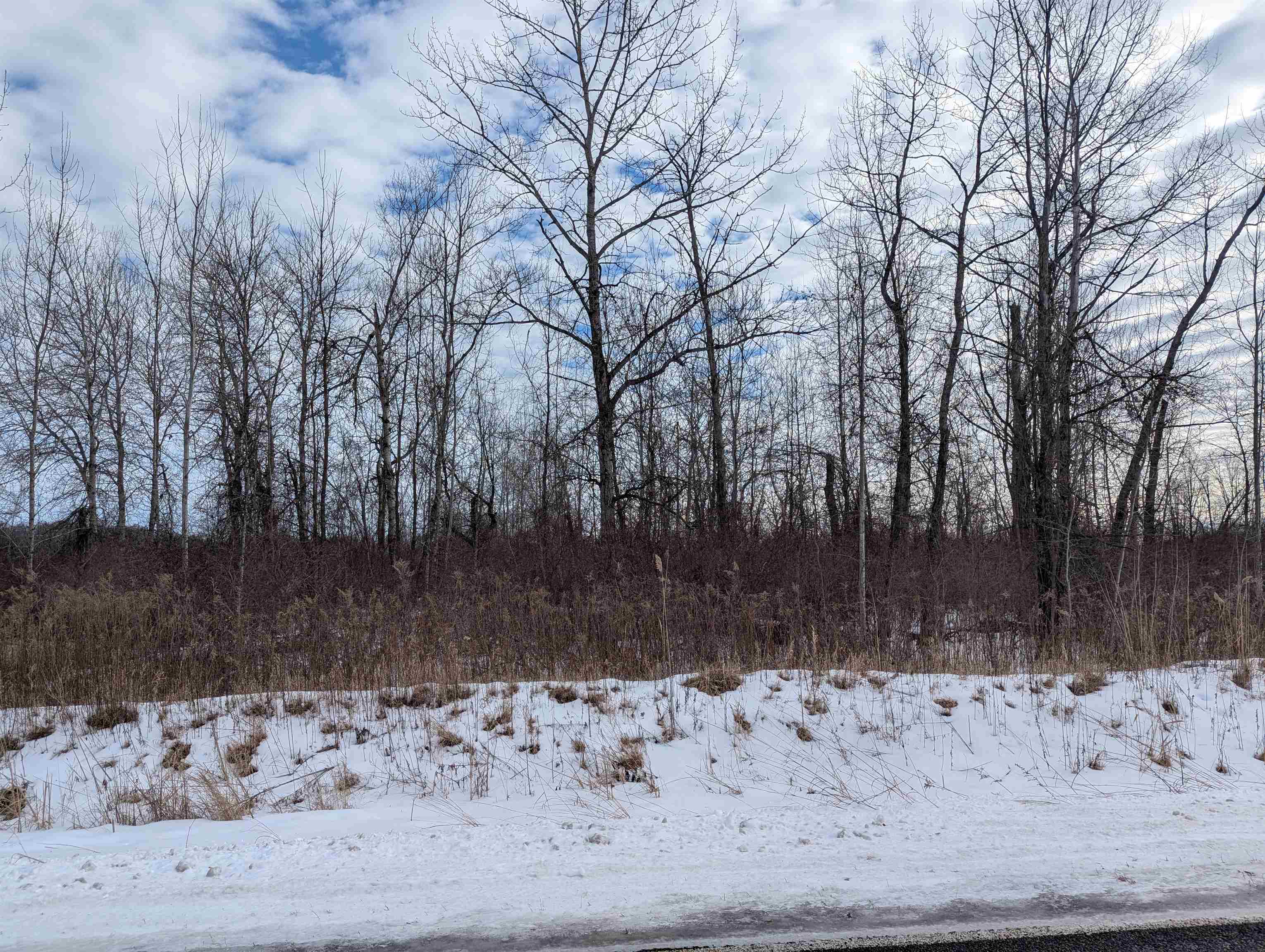 N/a Swenson Road Au Gres, MI 48703 - Photo 3 of 15