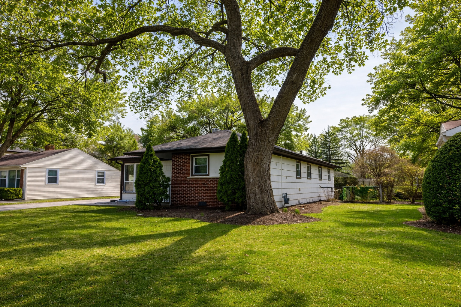 2109 Park Street Rolling Meadows, IL 60008 - Photo 3 of 19 a front view of house with yard and trees