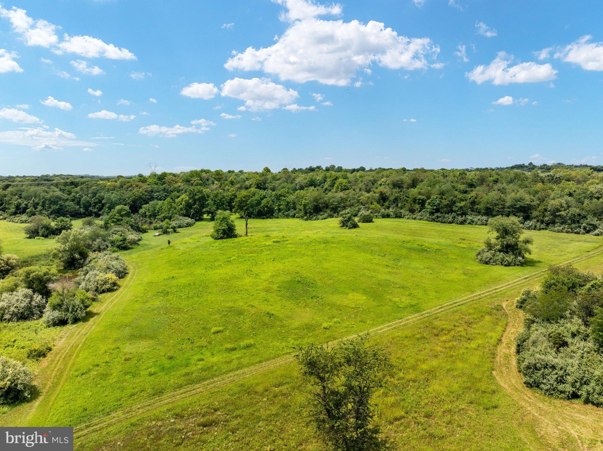 Lot 15 Rest Church Road Clear Brook, VA 22624 - Photo 13 of 29 Lush green landscape under a bright blue sky.