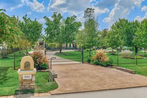 a view of a park with plants and trees