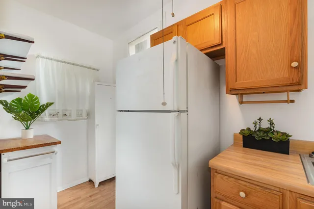 a room with a refrigerator and a potted plant