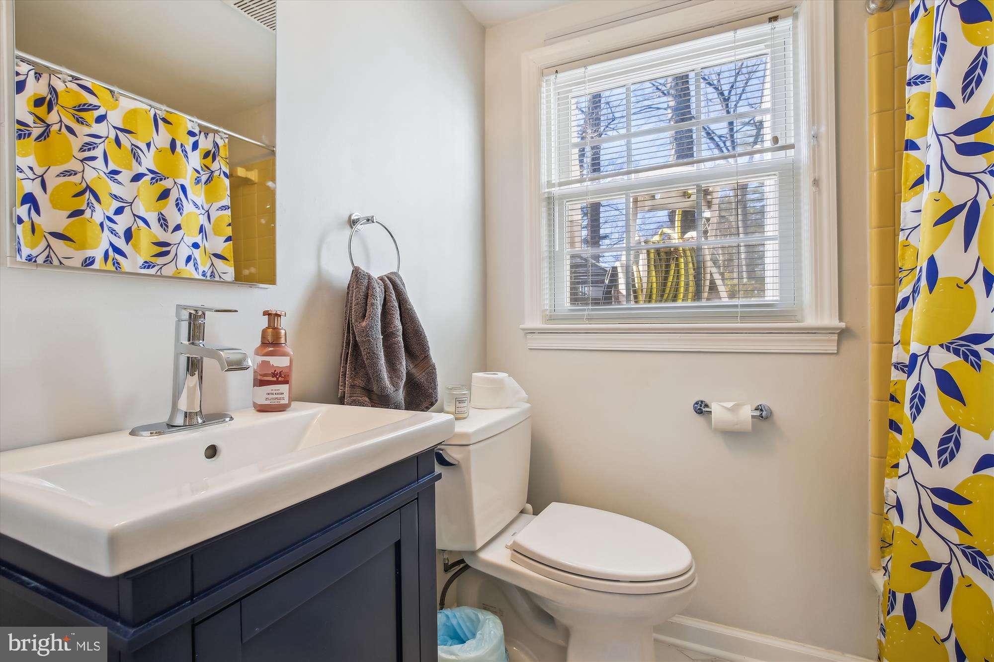 7309 Pinecastle Road Falls Church, VA 22043 - Photo 32 of 49 Bathroom 2 (lower level)